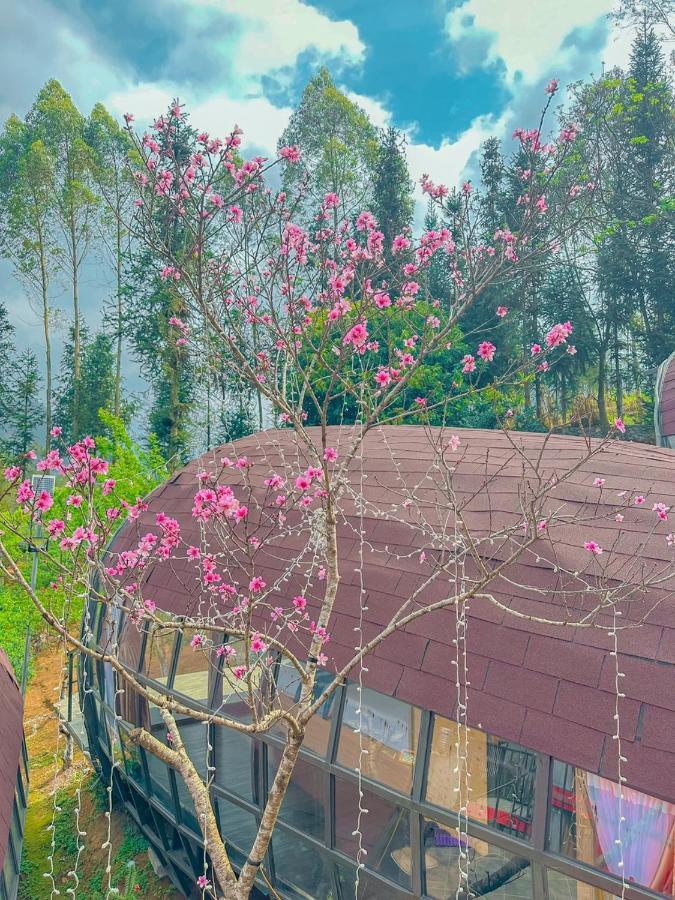 Plum Homestay Dong Van  Exterior photo