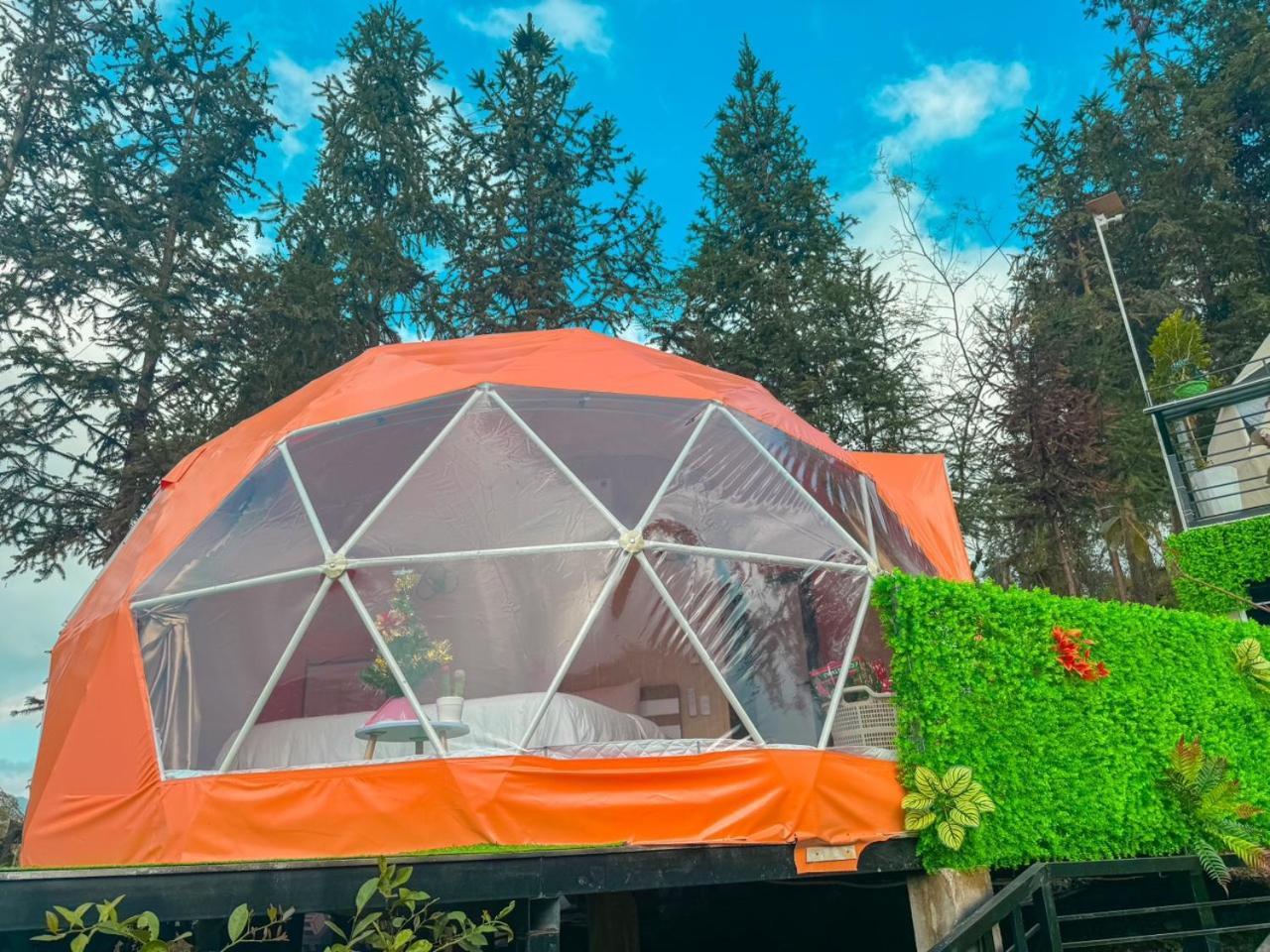 Plum Homestay Dong Van  Exterior photo