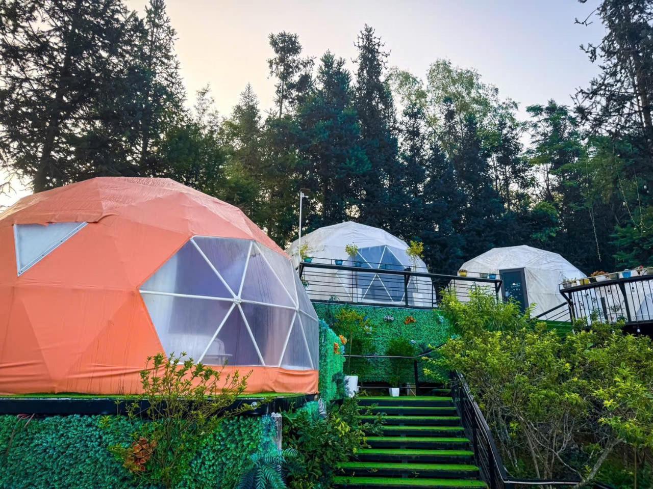 Plum Homestay Dong Van  Exterior photo